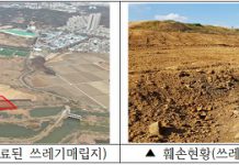 2025년까지 도시 내 훼손지 25곳 생태계 복원한다