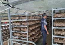 가을철 산림종자 유통조사 실시!